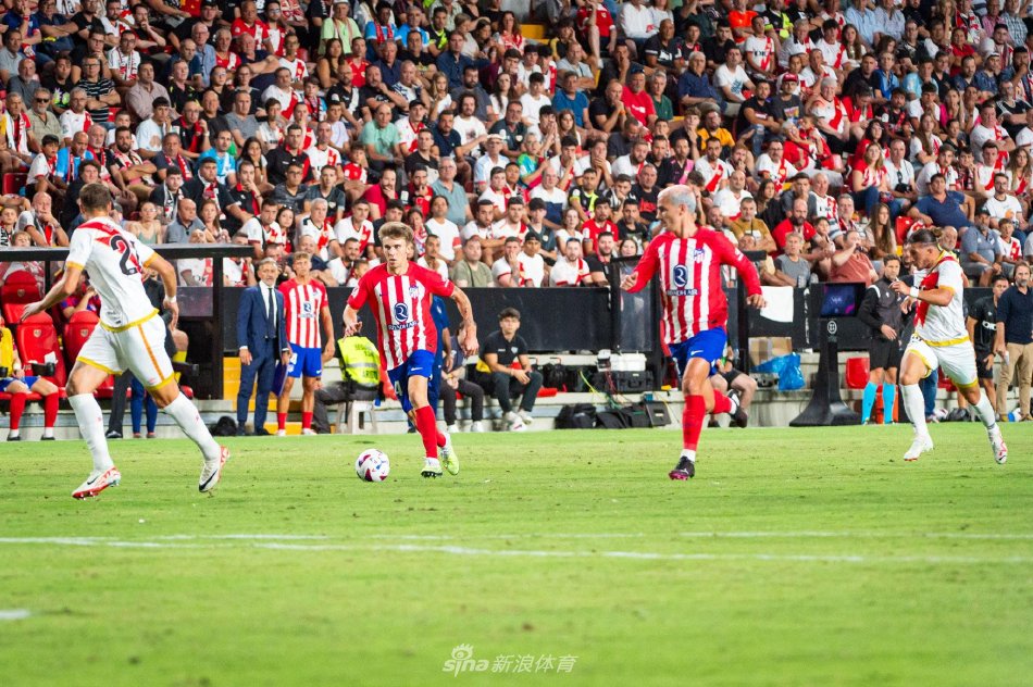 保护不足 保护不足